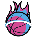 热火队标