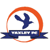 亚克斯利队标